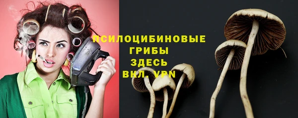 ALPHA-PVP Новокубанск
