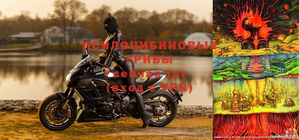 твердый Новозыбков