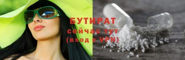 твердый Новозыбков