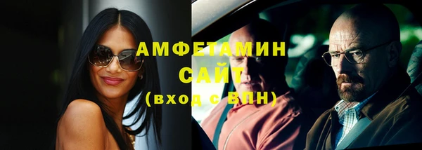 твердый Новозыбков