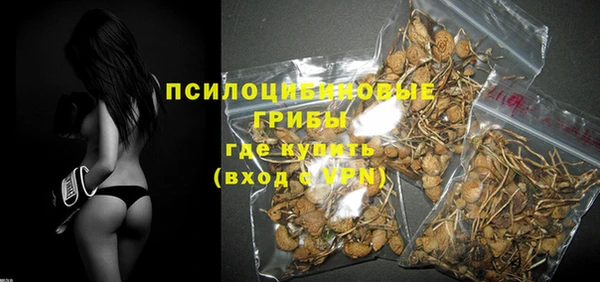 твердый Новозыбков