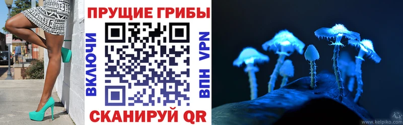 где купить наркоту  Полярные Зори  Псилоцибиновые грибы мицелий 